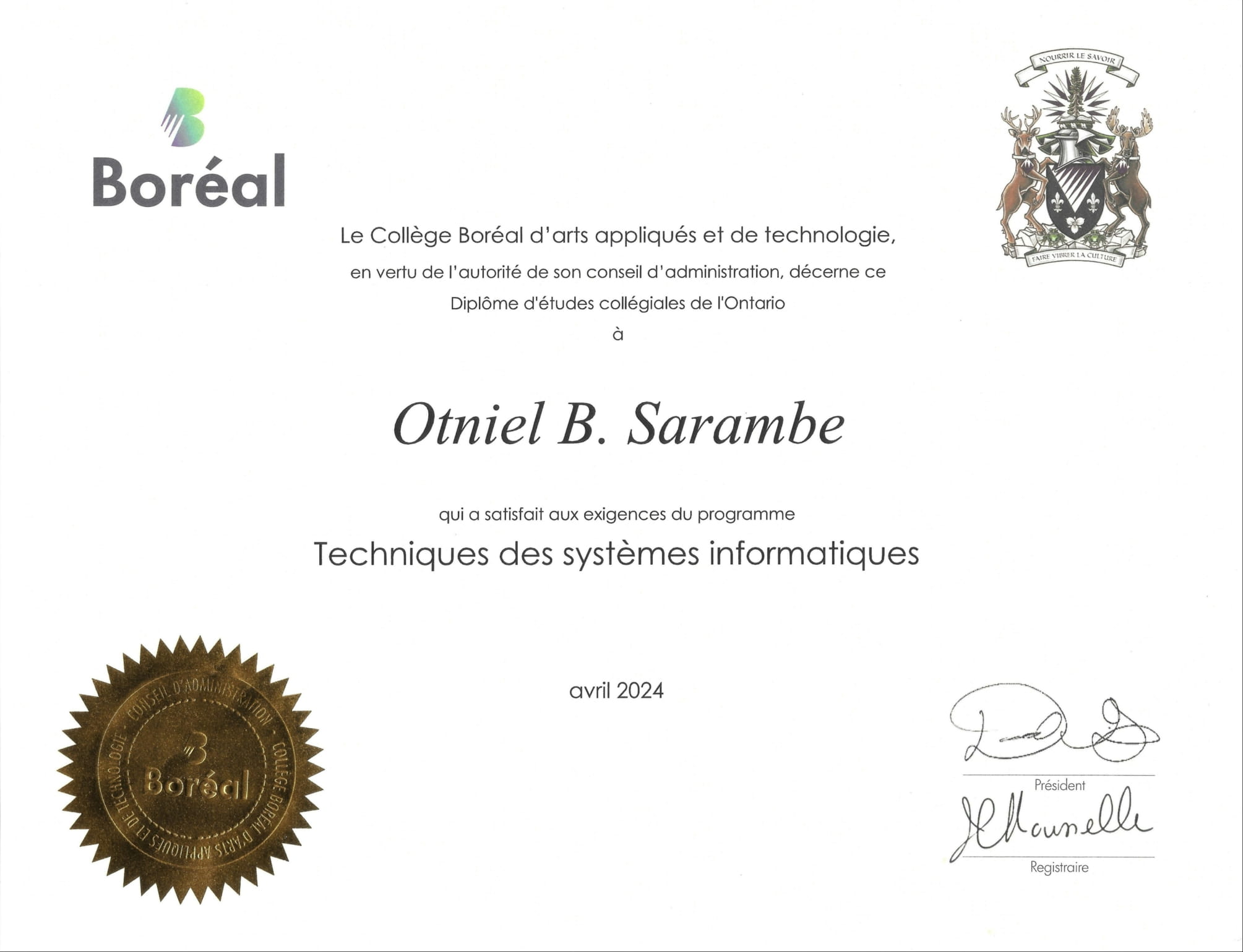 IT Diploma
